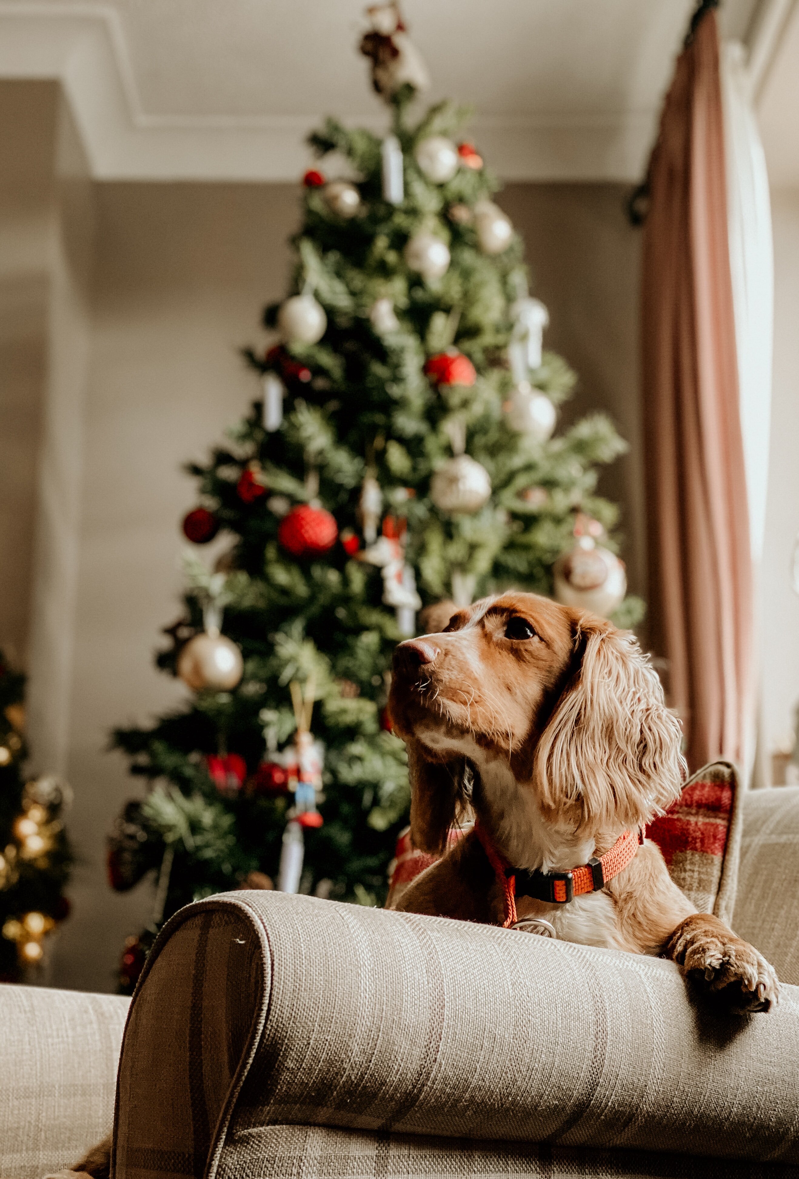 https://www.24hshop.no/pub_docs/files/nathan-mcdine-KFZ2DX0geZo-unsplash.jpg