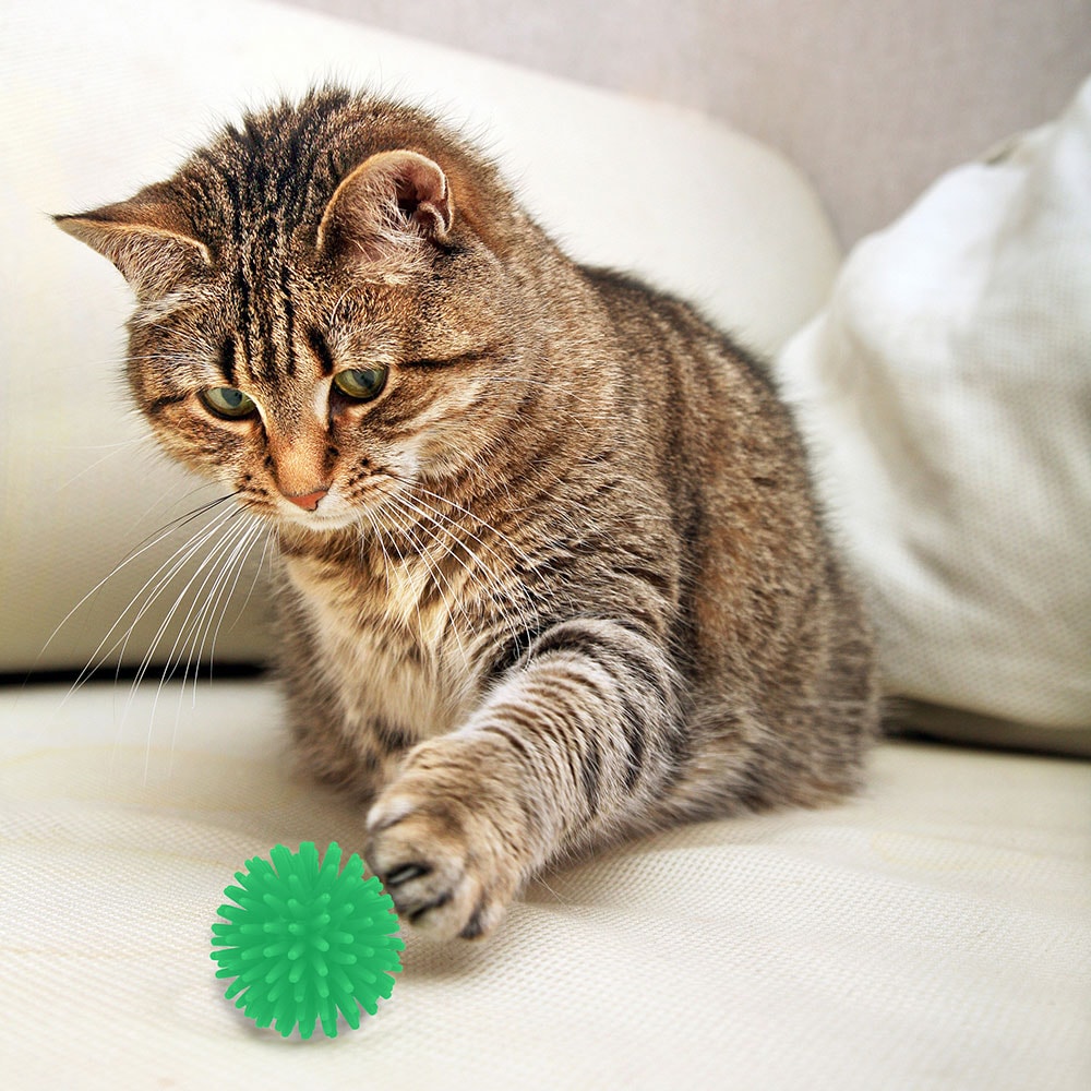 Pinnsvinball for katter - 4-pakning