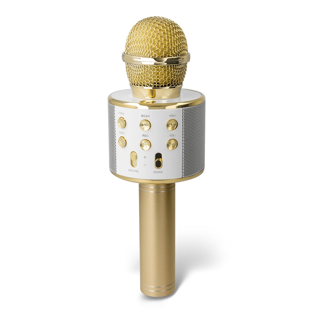 Forever Karaokemikrofon med høyttaler - Gull