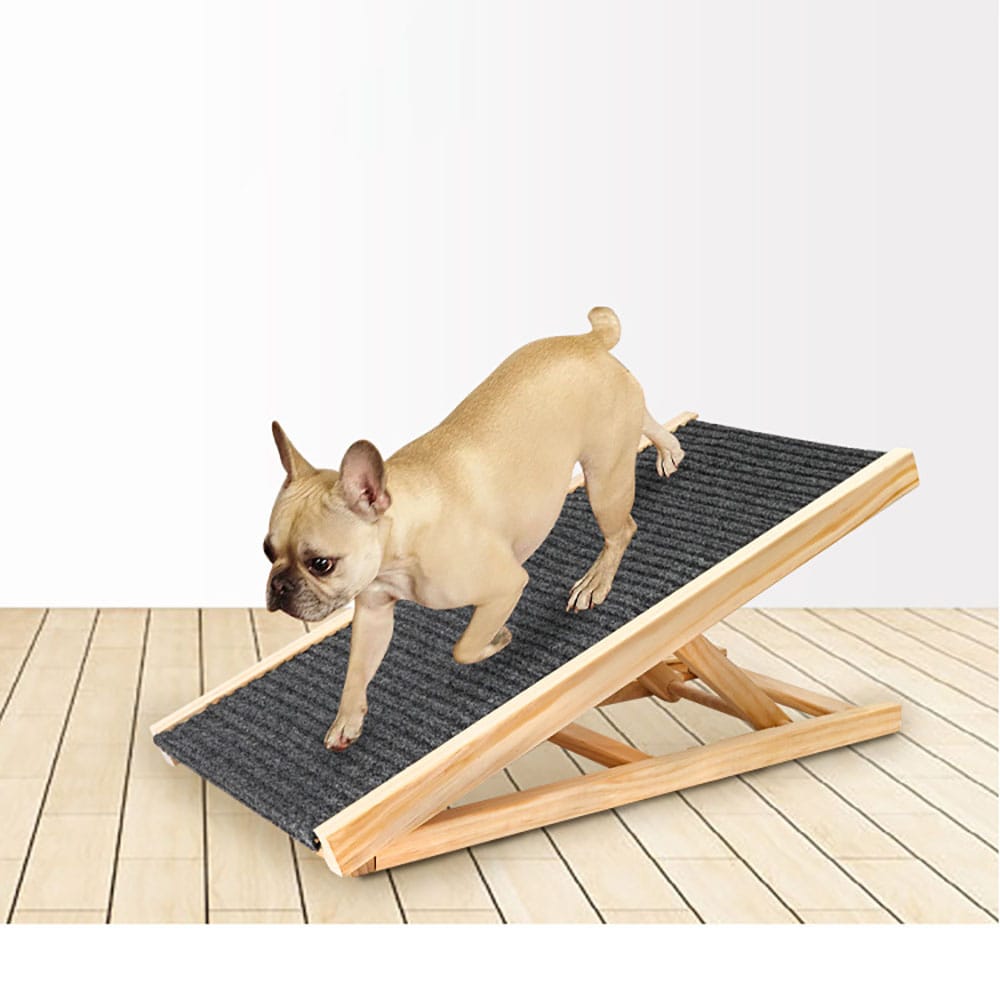 Justerbar rampe for hunder - 100×43 cm