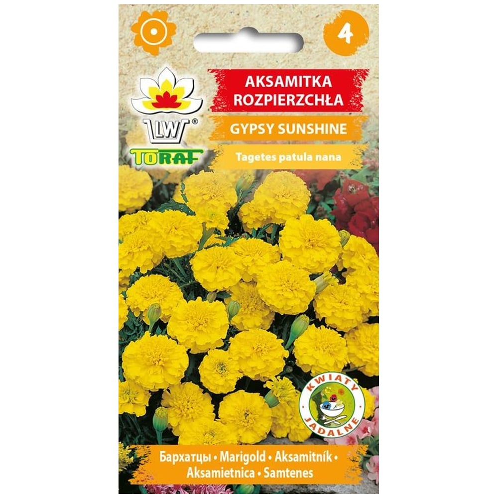 Fransk ringblomstfrø Gypsy Sunshine - Rikelig blomstring med sitronfargede blomster