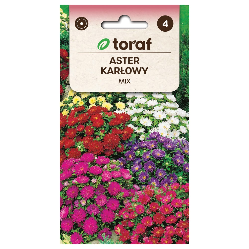 Frø til Dwarf Chinese Aster Mix - Lavvoksende og rikelig blomstrende aster