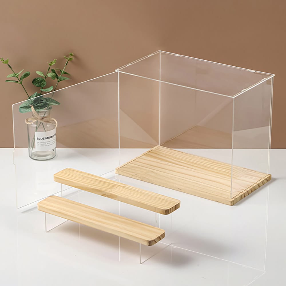 Displayboks i klar plast med detaljer i tre 32 × 25,2 × 18 cm