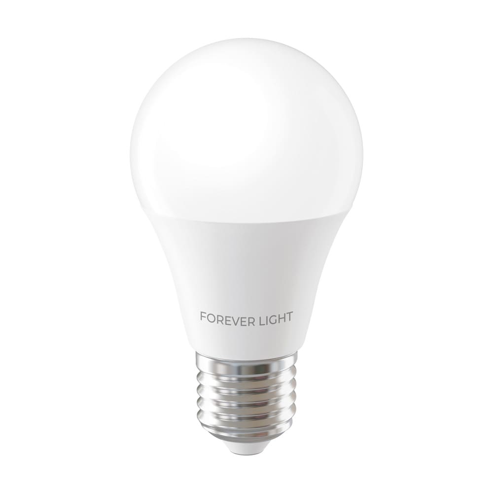 LED lyspære E27 A55 4W 480lm 6000K