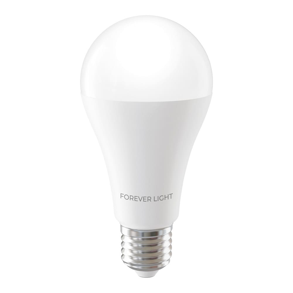 LED lyspære E27 A65 17W 2100lm 6000K