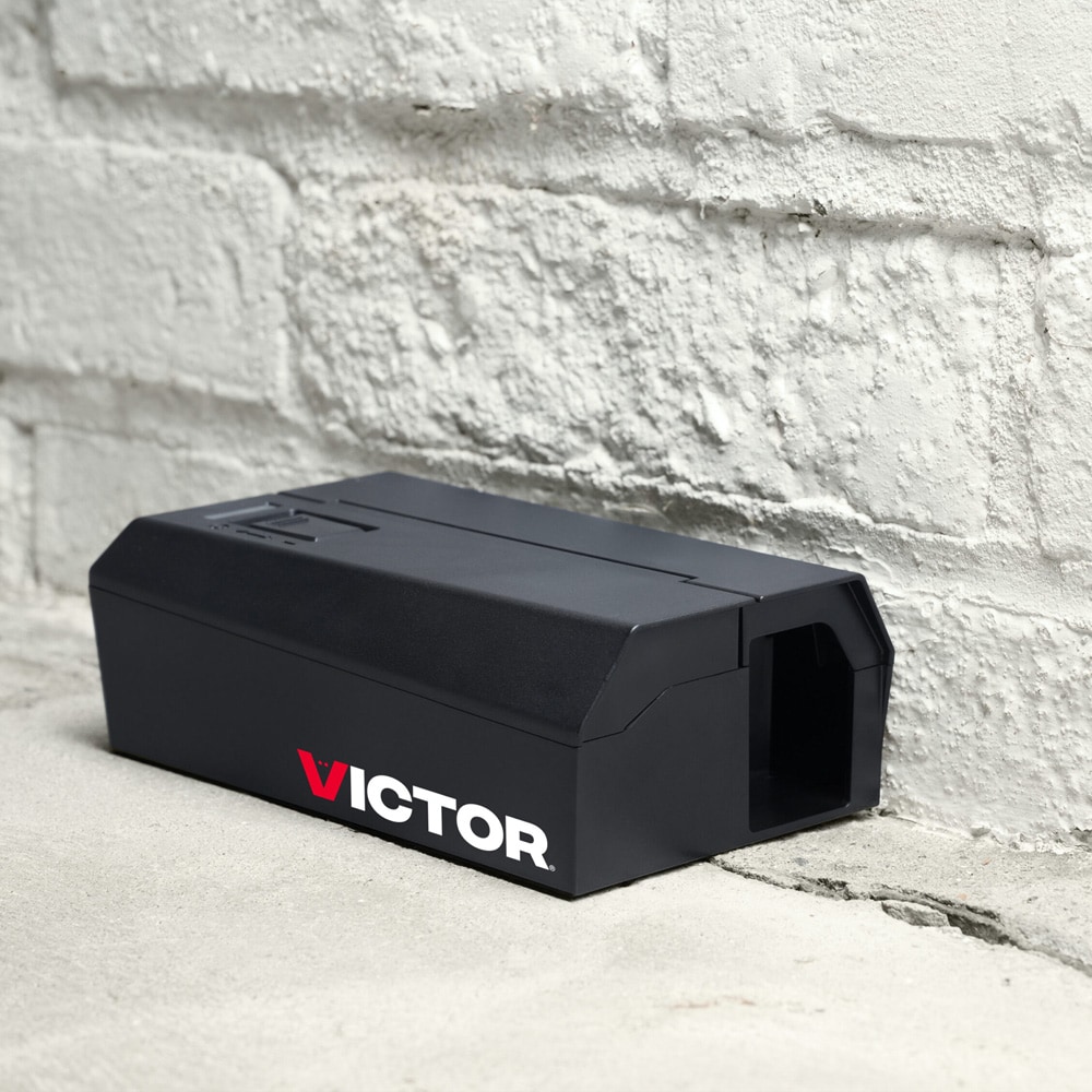 Elektrisk musefelle V2 med hurtigvirkende støtmekanisme