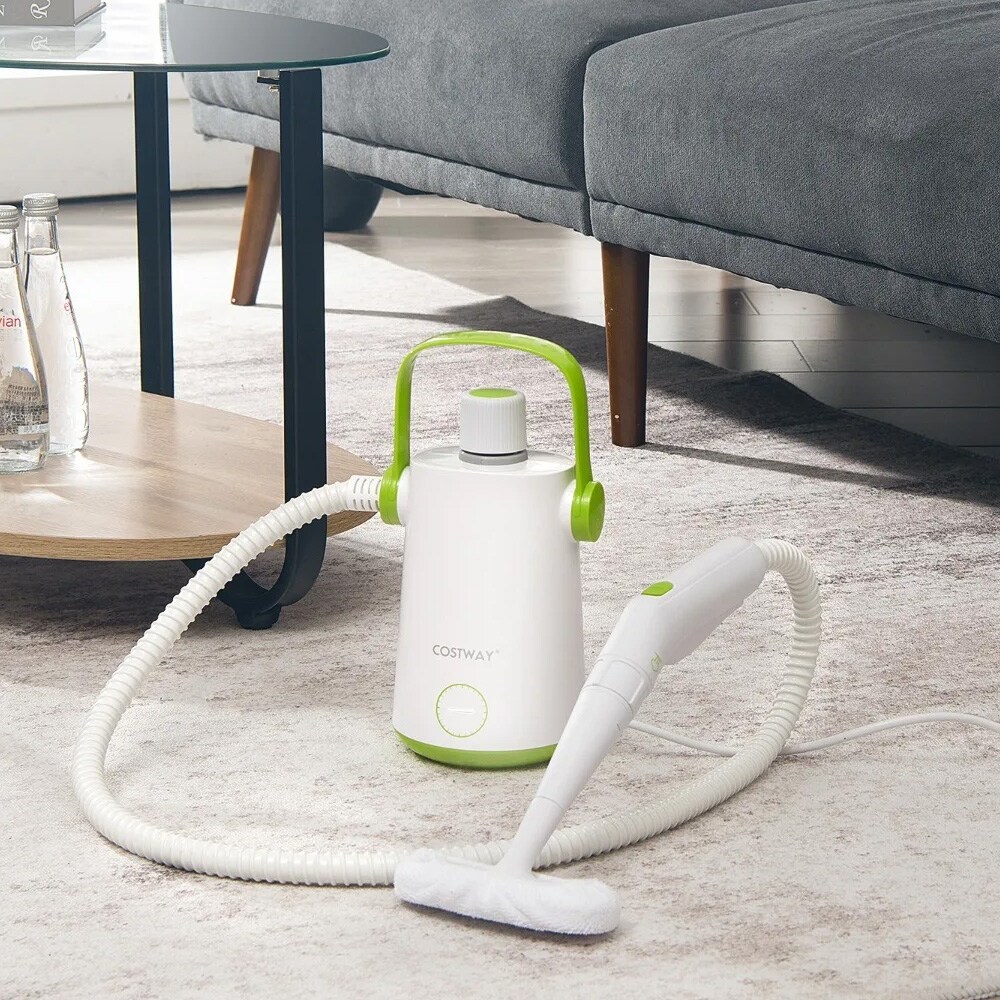 Håndholdt dampvasker 1000 W med høy damptemperatur – hvit/grønn