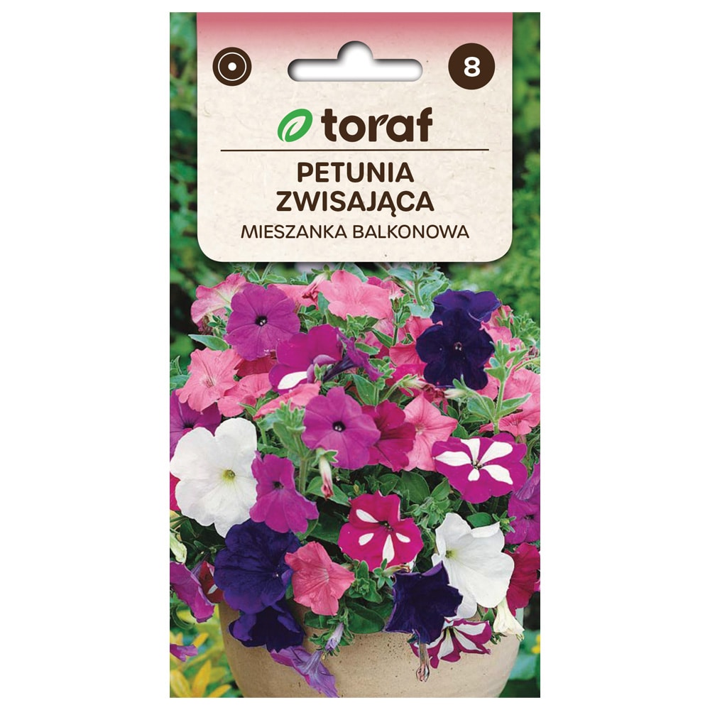Hengende petuniafrø Petunia hybrida pendula / sommerblomster til balkong og seng