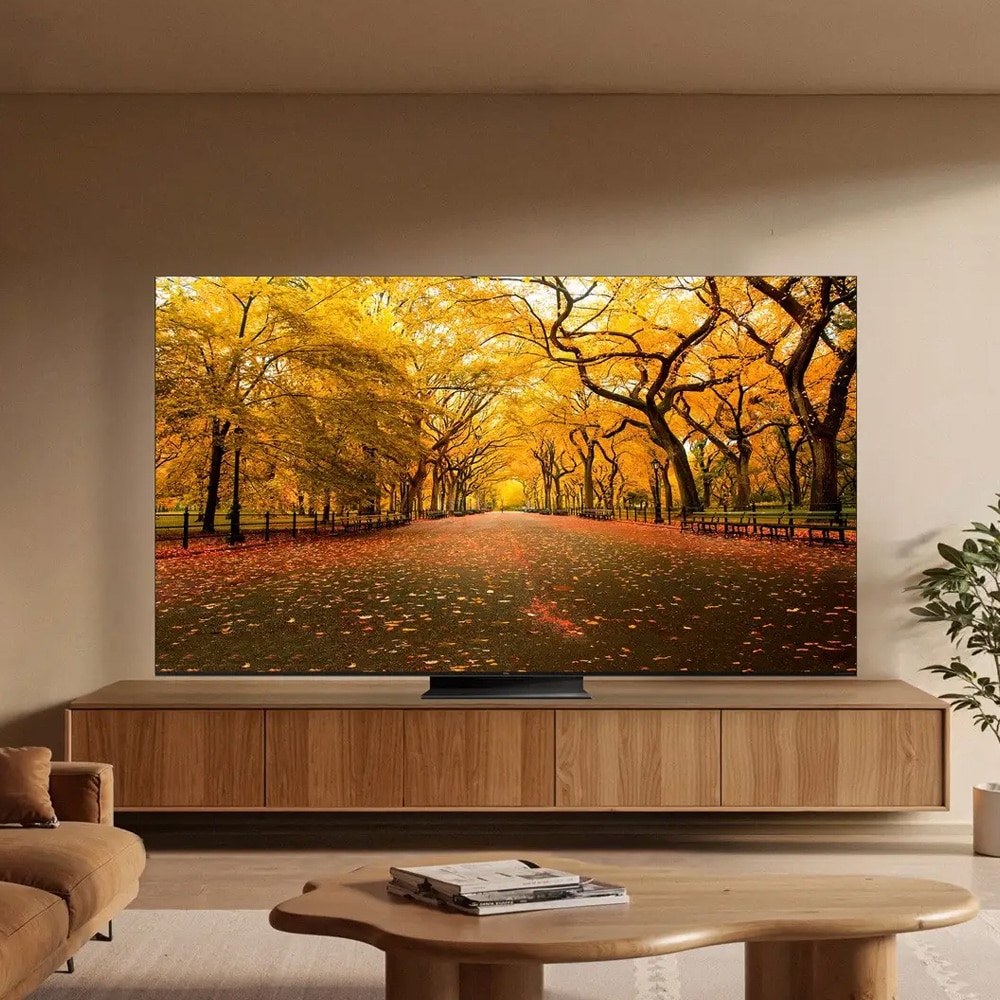 TCL 55" C8L 4K SQD Mini-LED Google TV / 55-tommers QLED-TV / 4K-TV med Mini-LED-skjerm