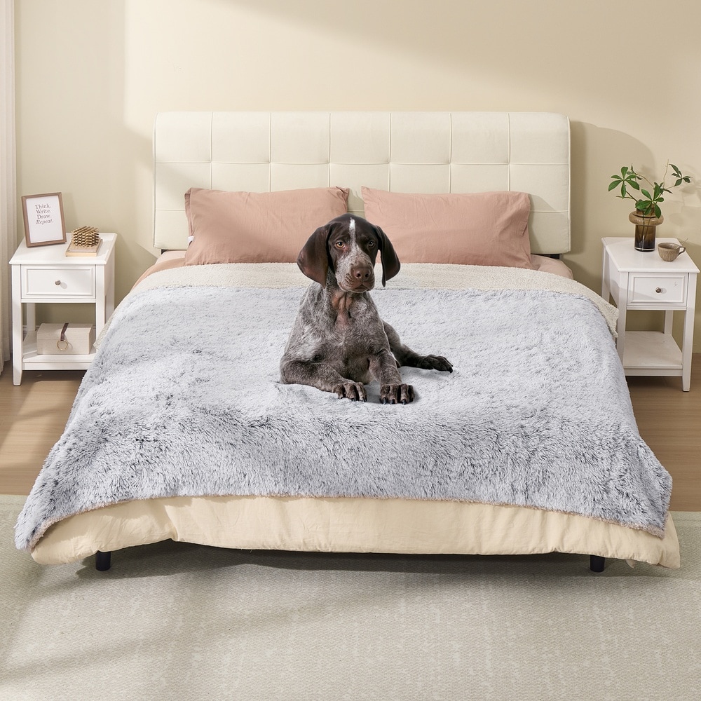 Vattenavvisande hundfilt i plysch 229x203 cm - Grå