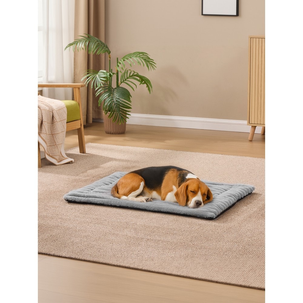 Selvoppvarmende hundeteppe i plysj, 90 x 65 cm – Grå / Oppvarmende teppe til kjæledyr / Hundematte i plysj