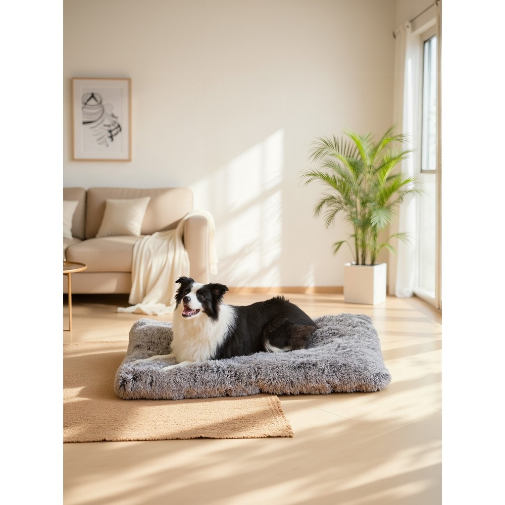 Hundeseng i lang plysj, 105 x 68 cm / Vaskbar hundepute / Hundemadrass med sklisikring