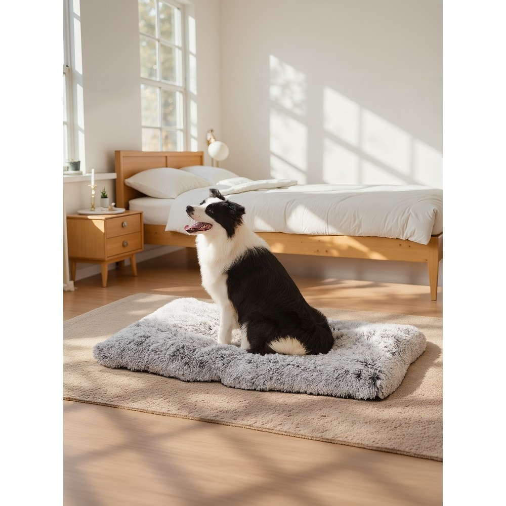Hundeseng i lang plysj, 105 x 68 cm / Vaskbar hundepute / Hundemadrass med sklisikring