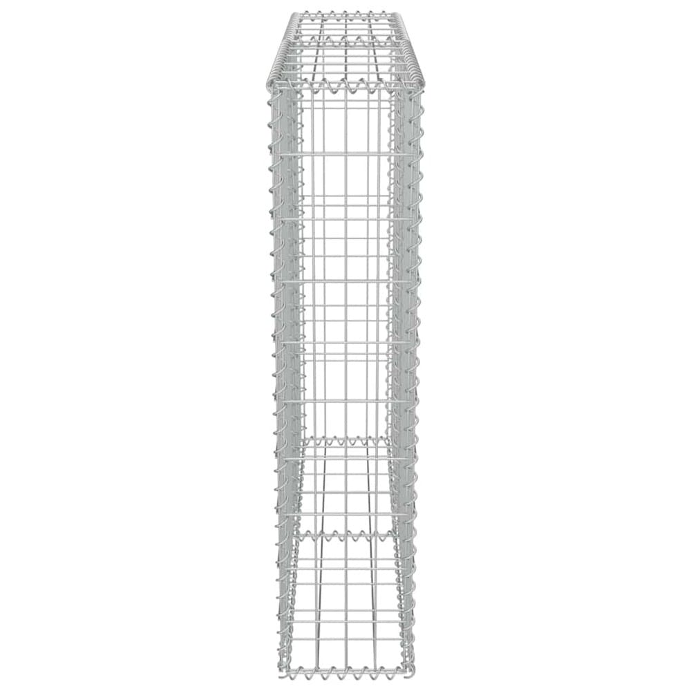 Gabionmur 100×20×100 cm / gabionkurv i galvanisert stål for stein og grus – Sølv