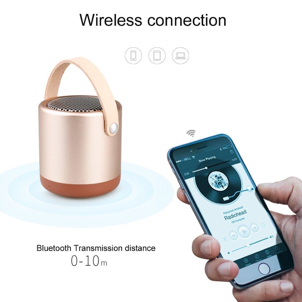 Metall utendørs Bluetooth høyttaler