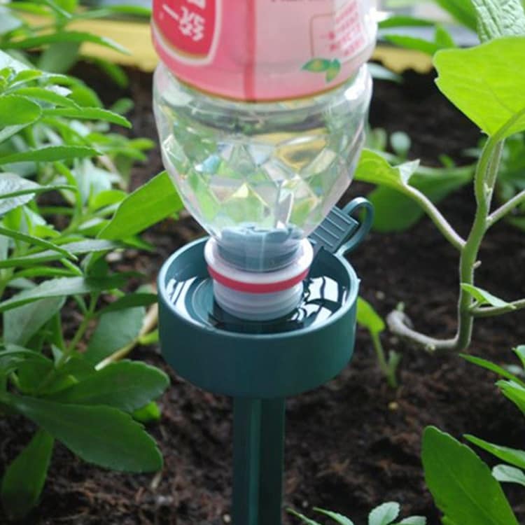 Automatisk Vanning Av Potteplanter