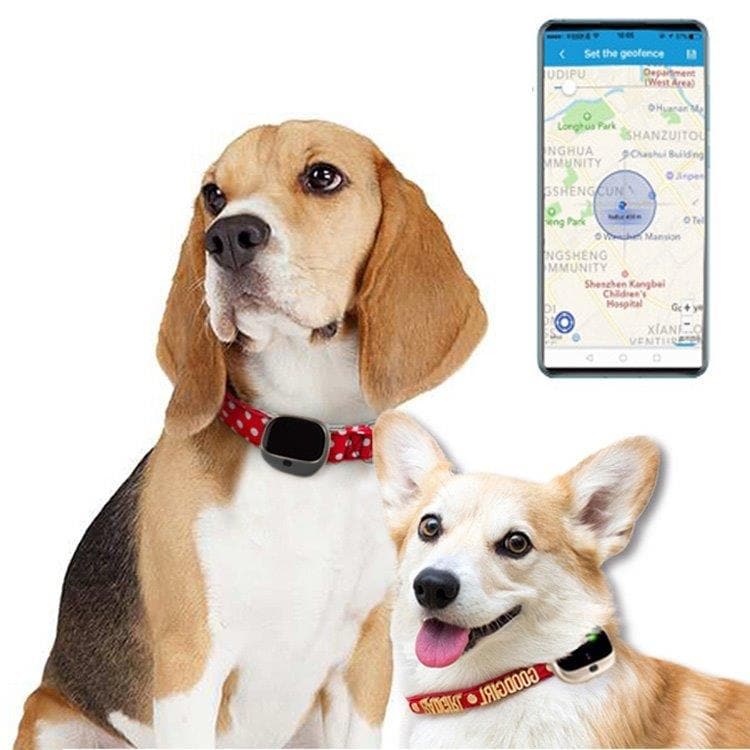 GPS + LBS + WiFi Tracker for kjæledyr
