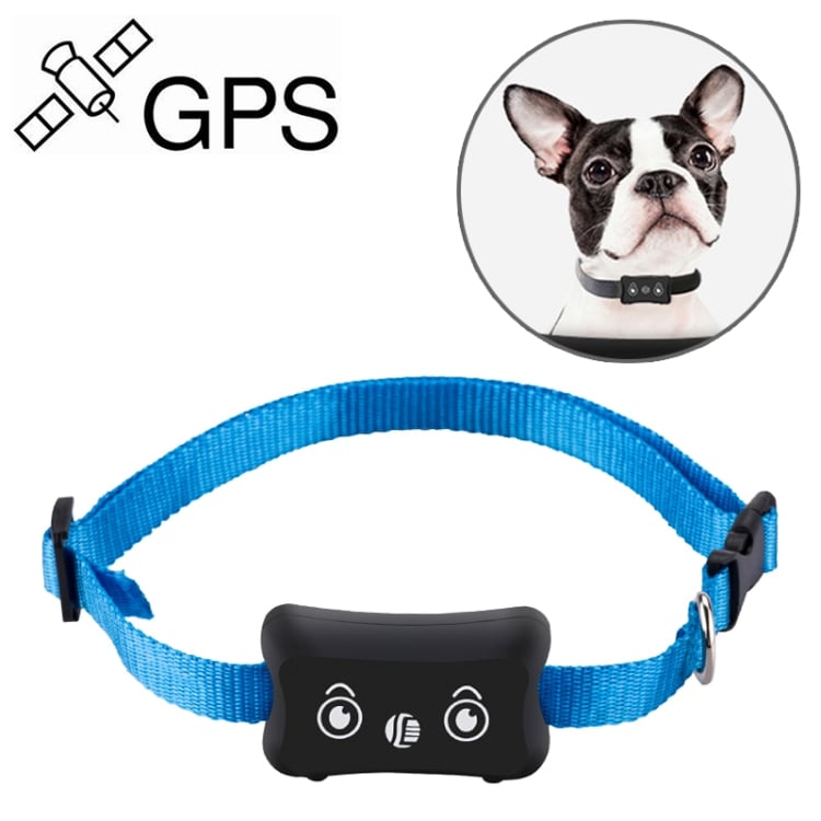 Vanntett hundehalsbånd med GPS