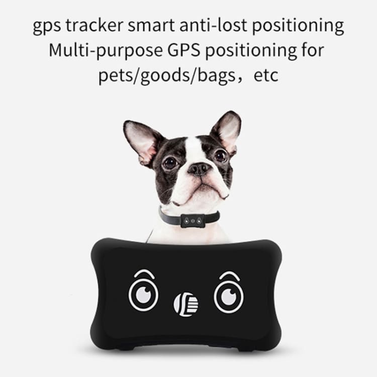 Vanntett hundehalsbånd med GPS
