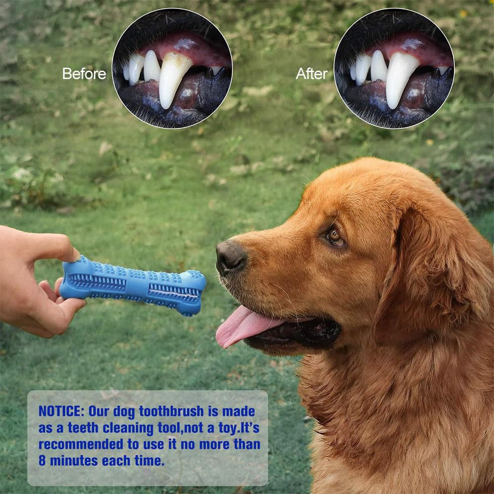 Hundetannbørste silikon 10,5x8cm