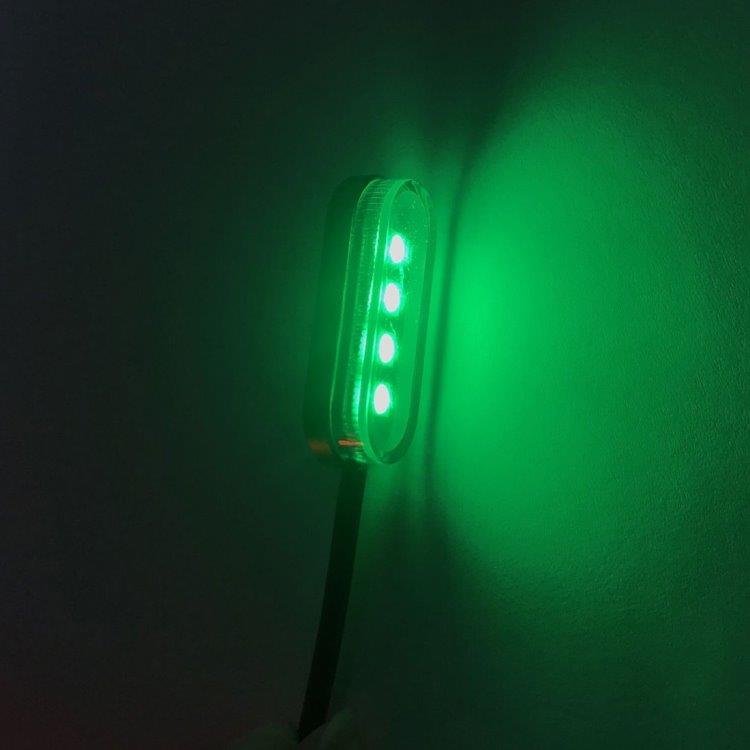 LED Belysning til kjøretøy DC12V 10-pk Grønn