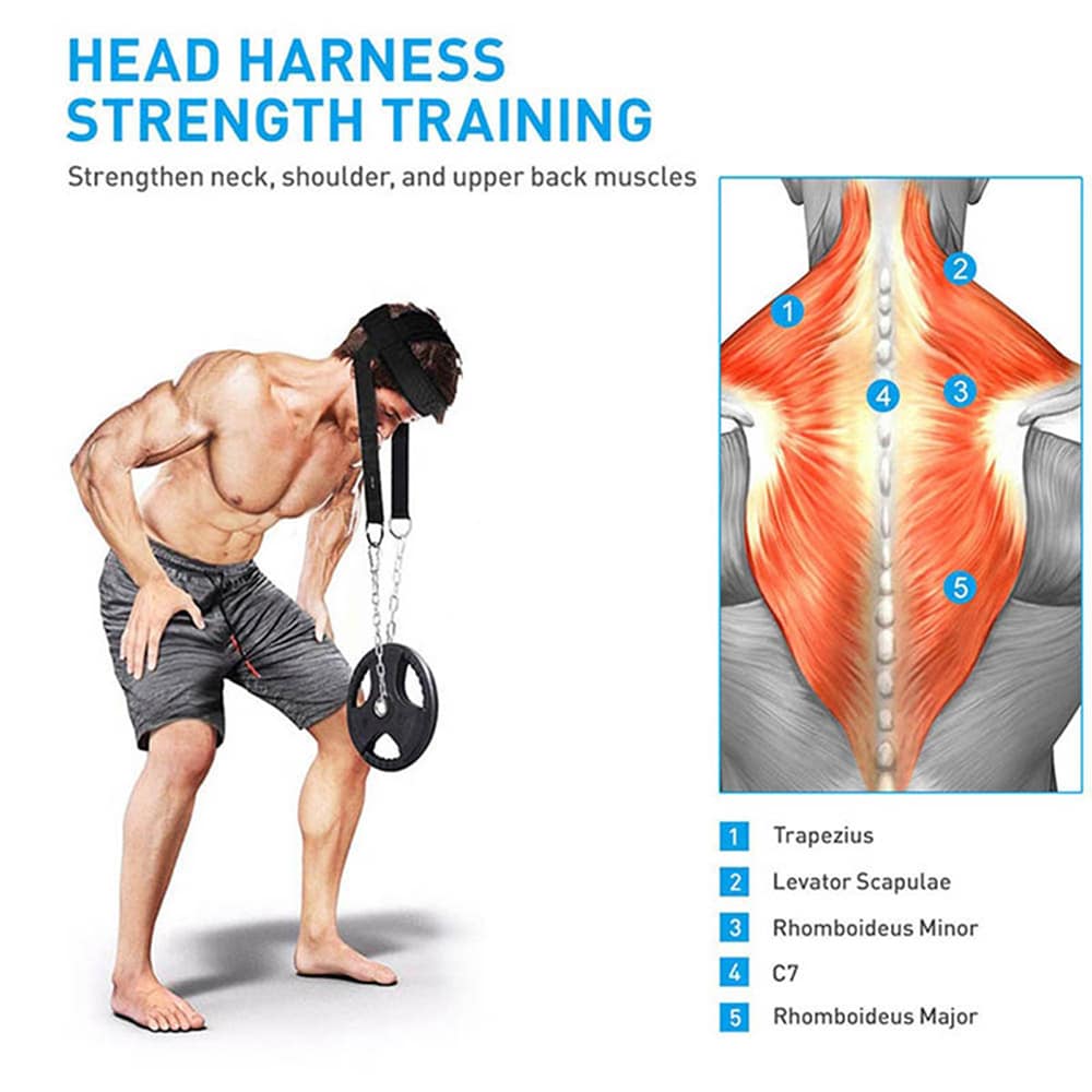 Gym Head Harness - nakketrener