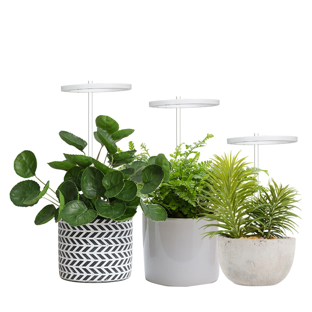 LED-plantelys / plantebelysning til inneplanter / vekstlys med LED-ring / plantelampe 5V