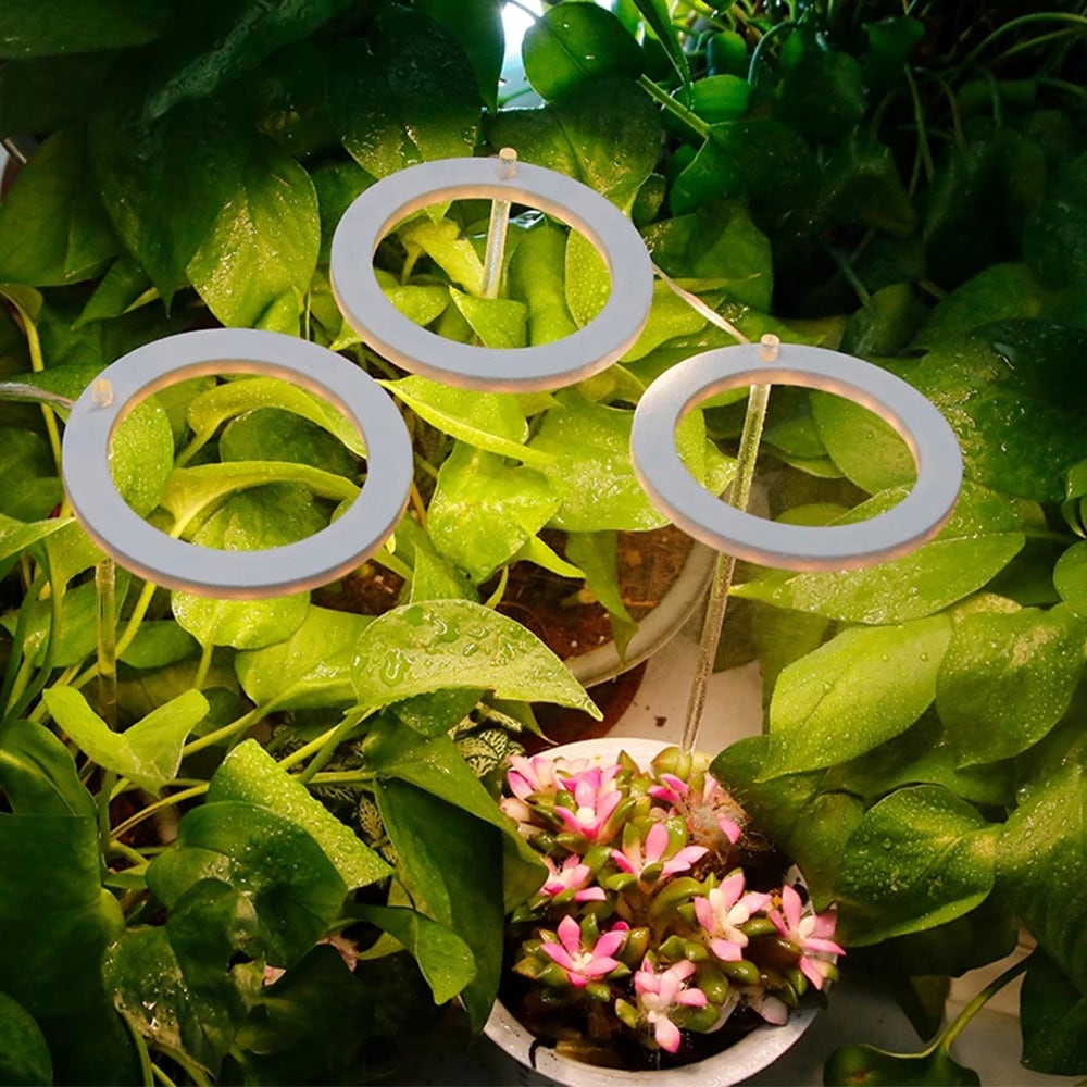 LED-plantelys / plantebelysning til inneplanter / vekstlys med LED-ring / plantelampe 5V