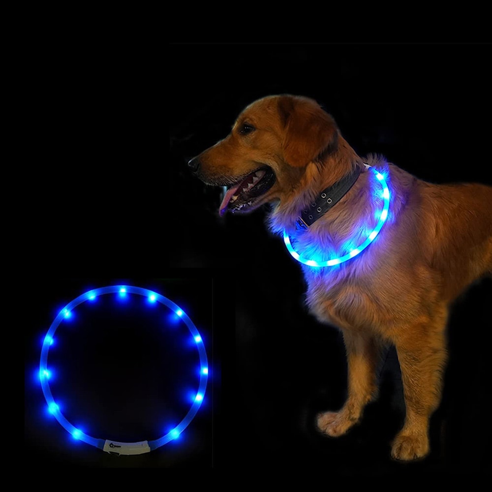 LED-halsbånd til hund - blått