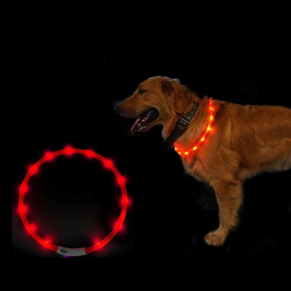 LED-halsbånd til hunder - rødt
