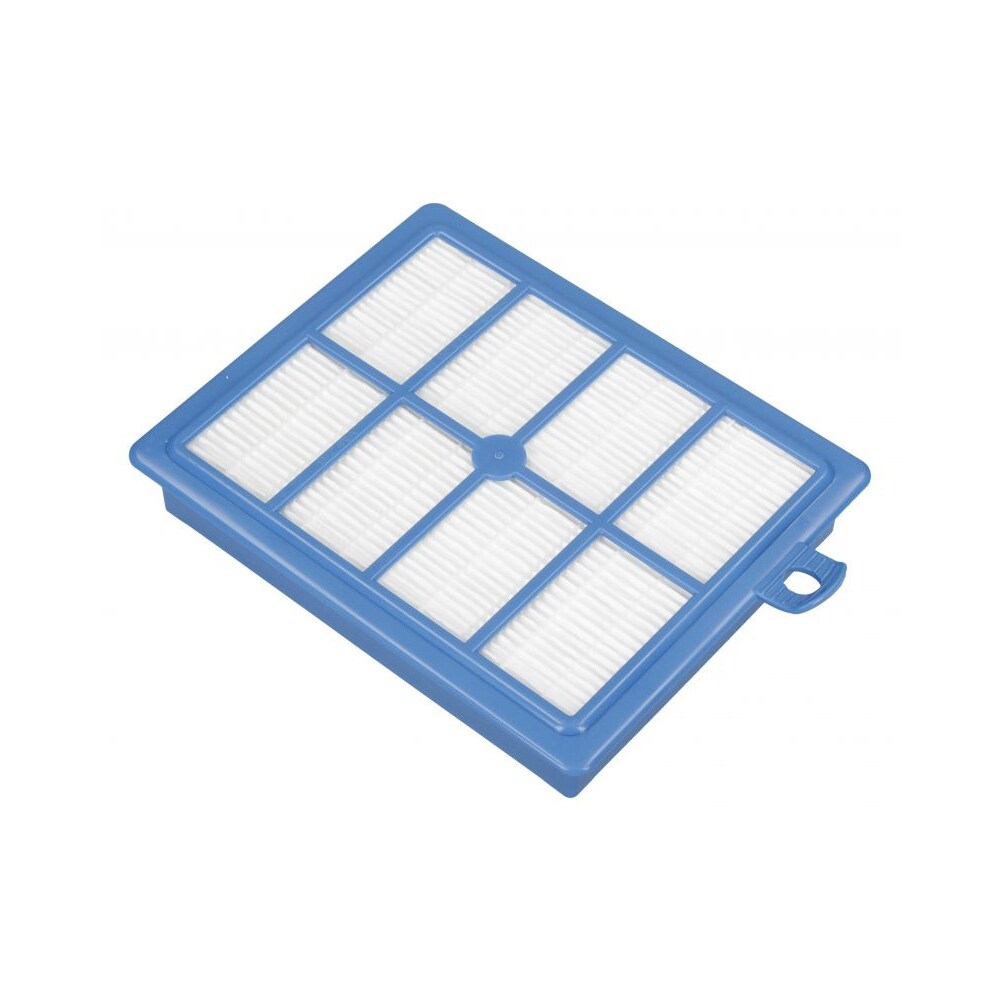 Electrolux AEG Allergy Plus filter 1924993304