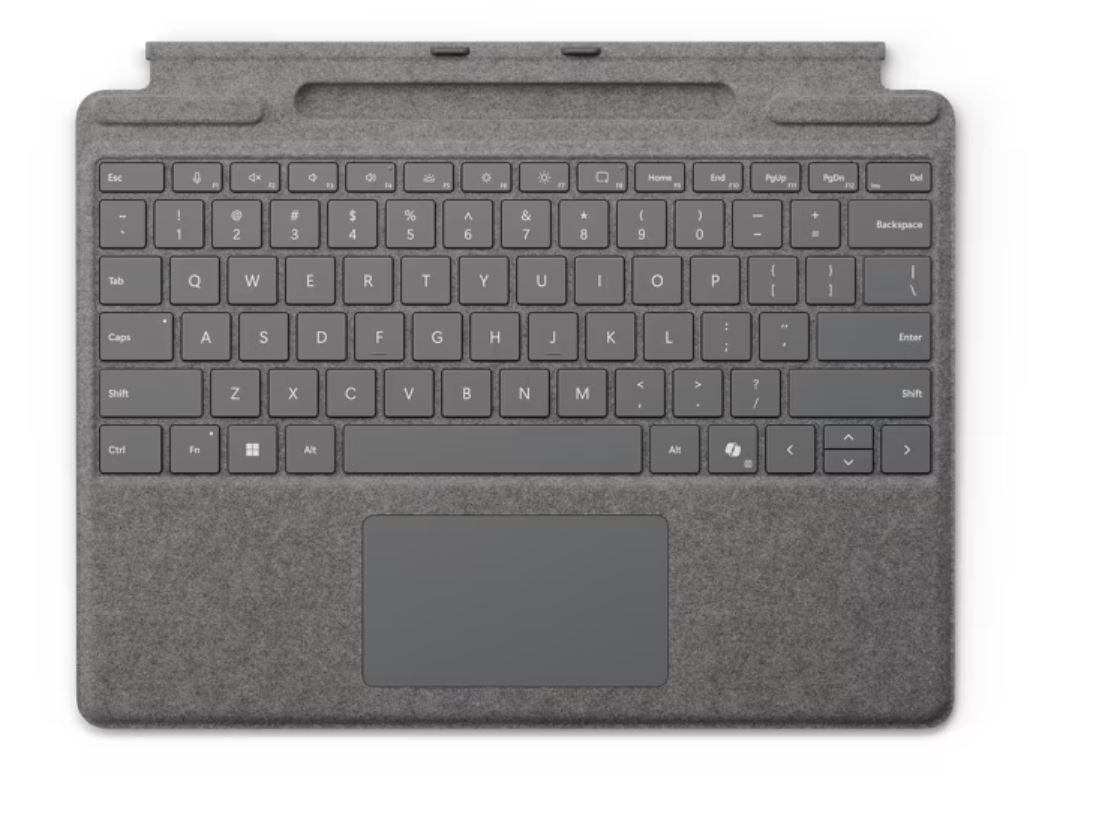 Microsoft Surface Pro Type Cover pennelaster for Surface Pro 10/11 Platinum