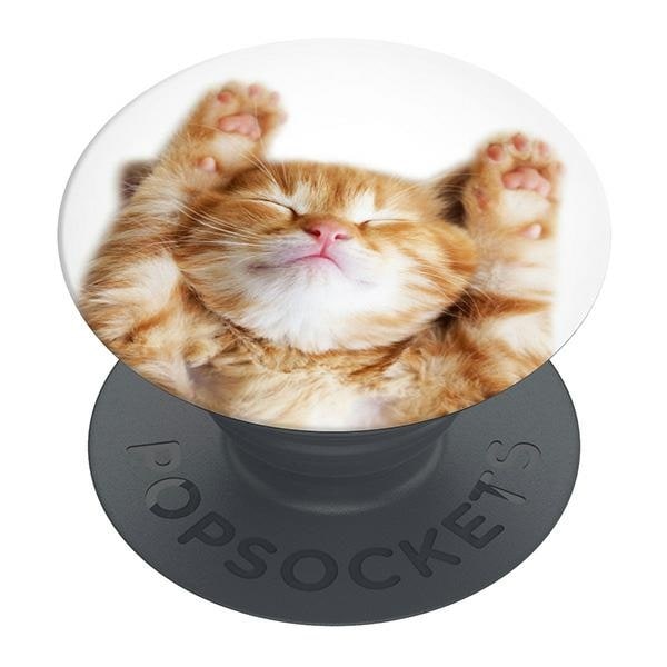 Popsockets 2 Snoozy Cat Holder og telefonstativ