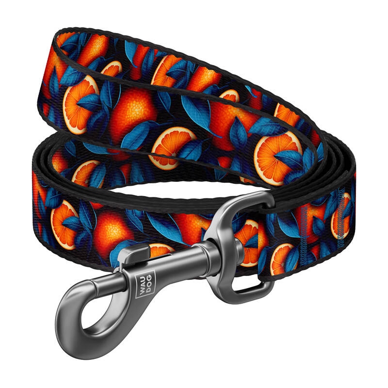 Hundebånd i nylon, mønster ''Oranges'', lengde 122 cm Waudog