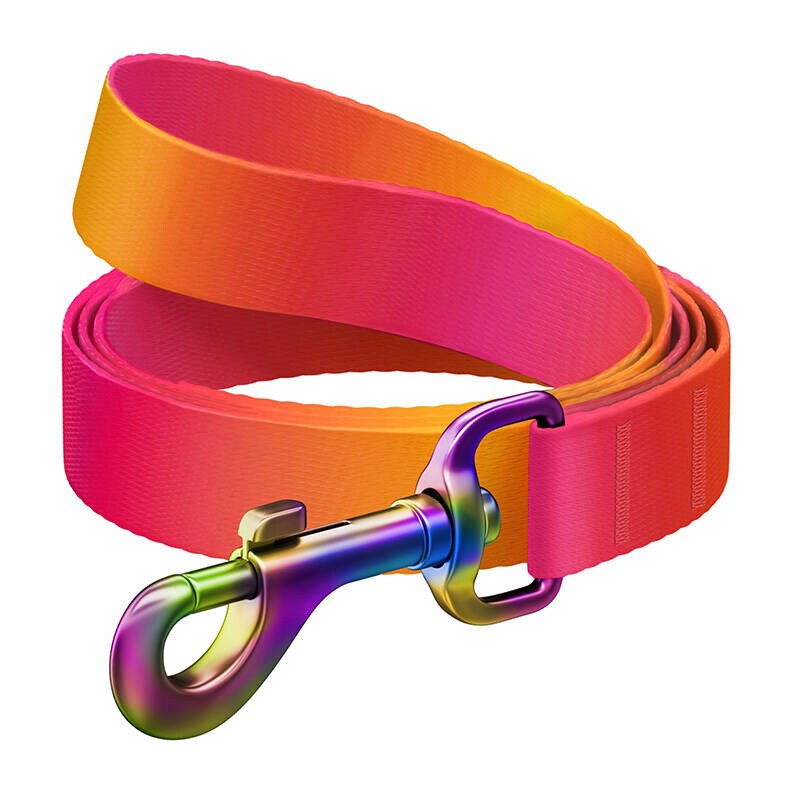 WAUDOG gradient hundebånd i nylon, 20 mm bredt, 122 cm langt, oransje