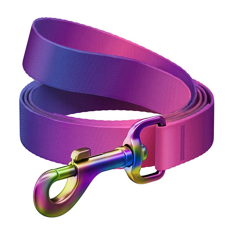WAUDOG gradient nylon hundebånd, 15 mm bredt, 122 cm langt, lilla