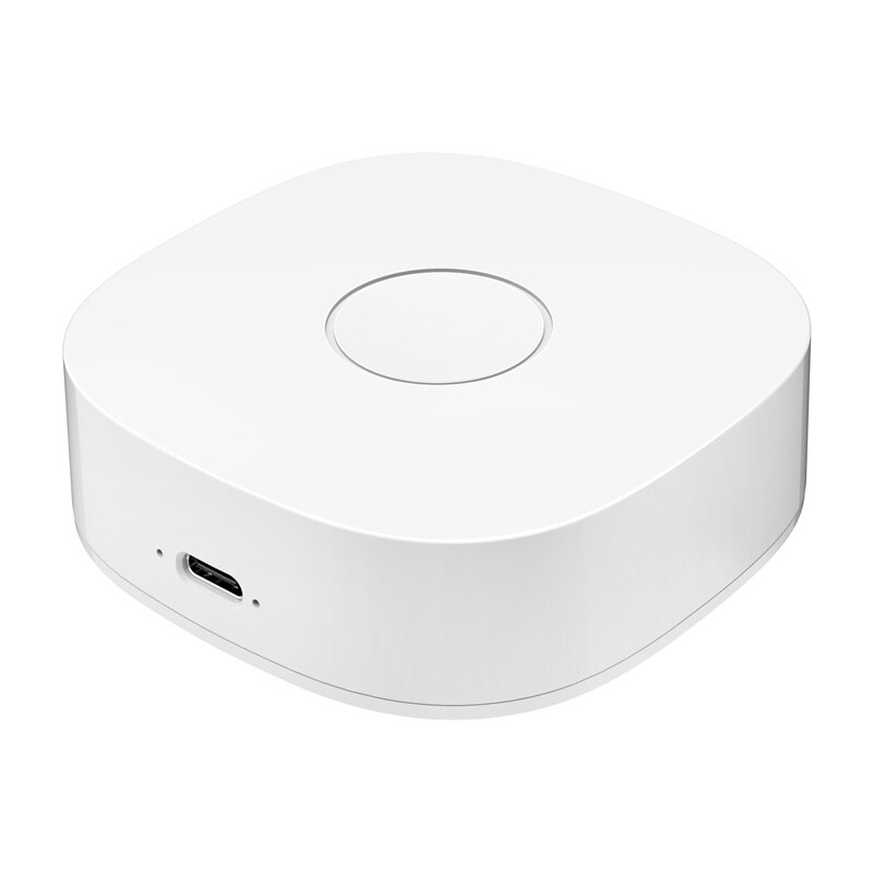 Smarthus WS2GW-R WiFi