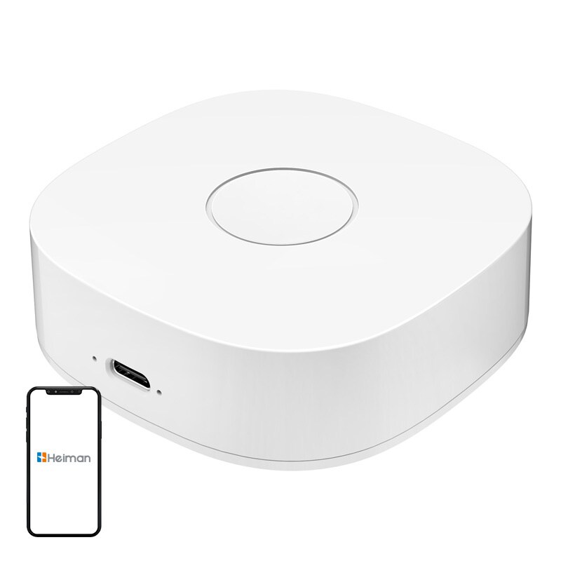 Smarthus WS2GW-R WiFi