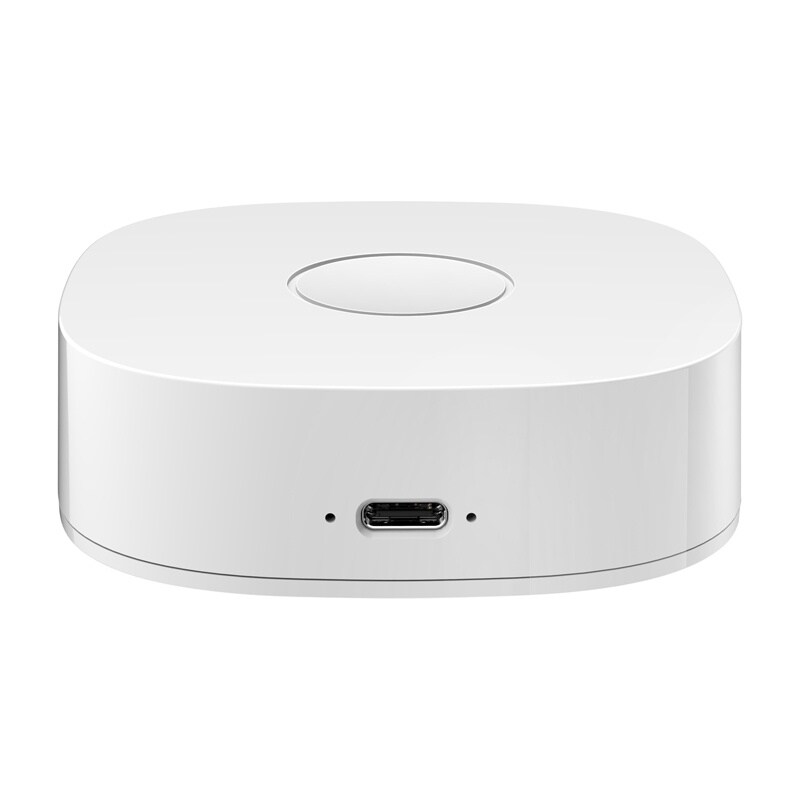 Smarthus WS2GW-R WiFi