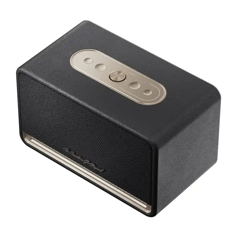 QCY SP300 trådløs høyttaler (svart)