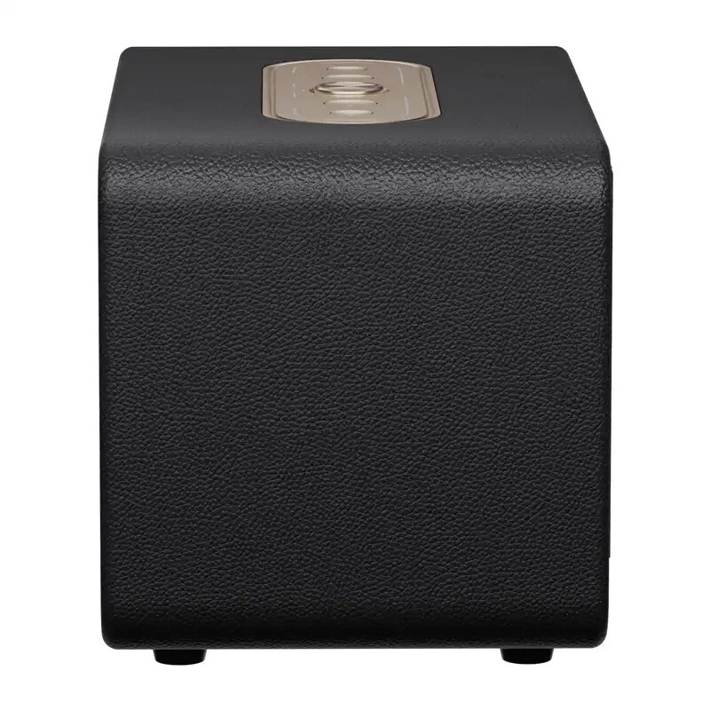 QCY SP300 trådløs høyttaler (svart)